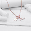 Charm Necklace
